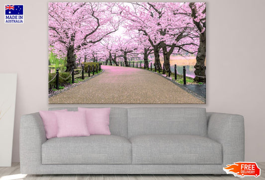 Blossom Trees Along the Road View Print 100% Australian Made