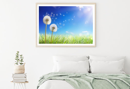 Dandelion Flowers Closeup View Home Decor Premium Quality Poster Print Choose Your Sizes