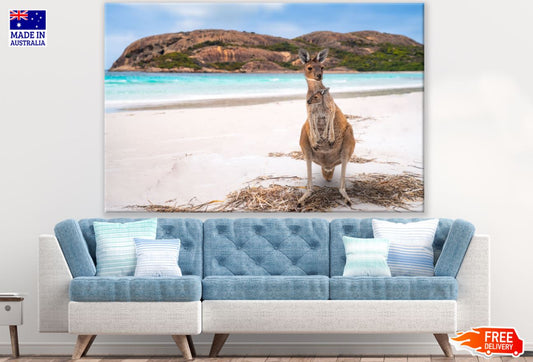 Kangaroo Near Sea Photograph Print 100% Australian Made