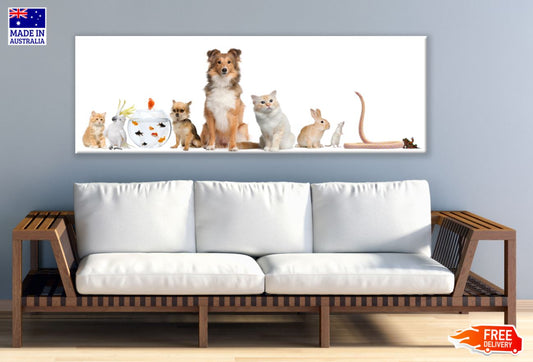 Panoramic Canvas Animals Closeup View High Quality 100% Australian Made Wall Canvas Print Ready to Hang