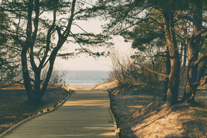 Wooden Path To Sea in Forest Home Decor Premium Quality Poster Print Choose Your Sizes