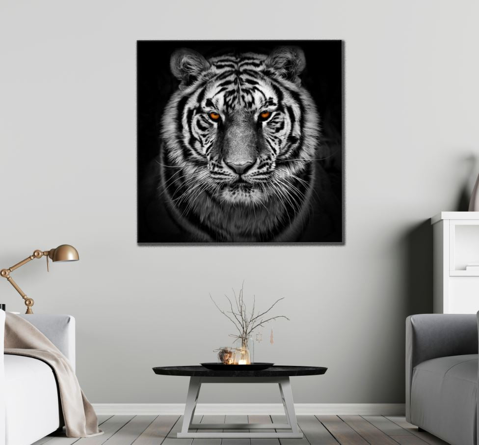 Square Canvas Tiger Portrait B&W Photograph High Quality Print 100% Australian Made