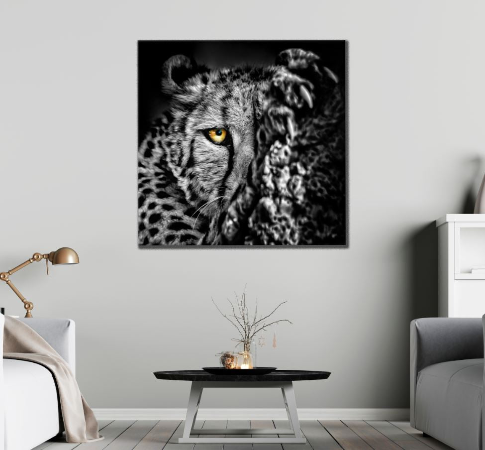 Square Canvas Tiger Portrait B&W Photograph High Quality Print 100% Australian Made