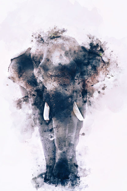 Elephant Watercolor Painting Print 100% Australian Made