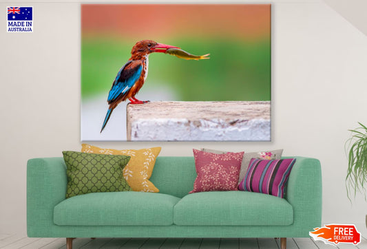 Kingfisher Bird with a Fish Print 100% Australian Made