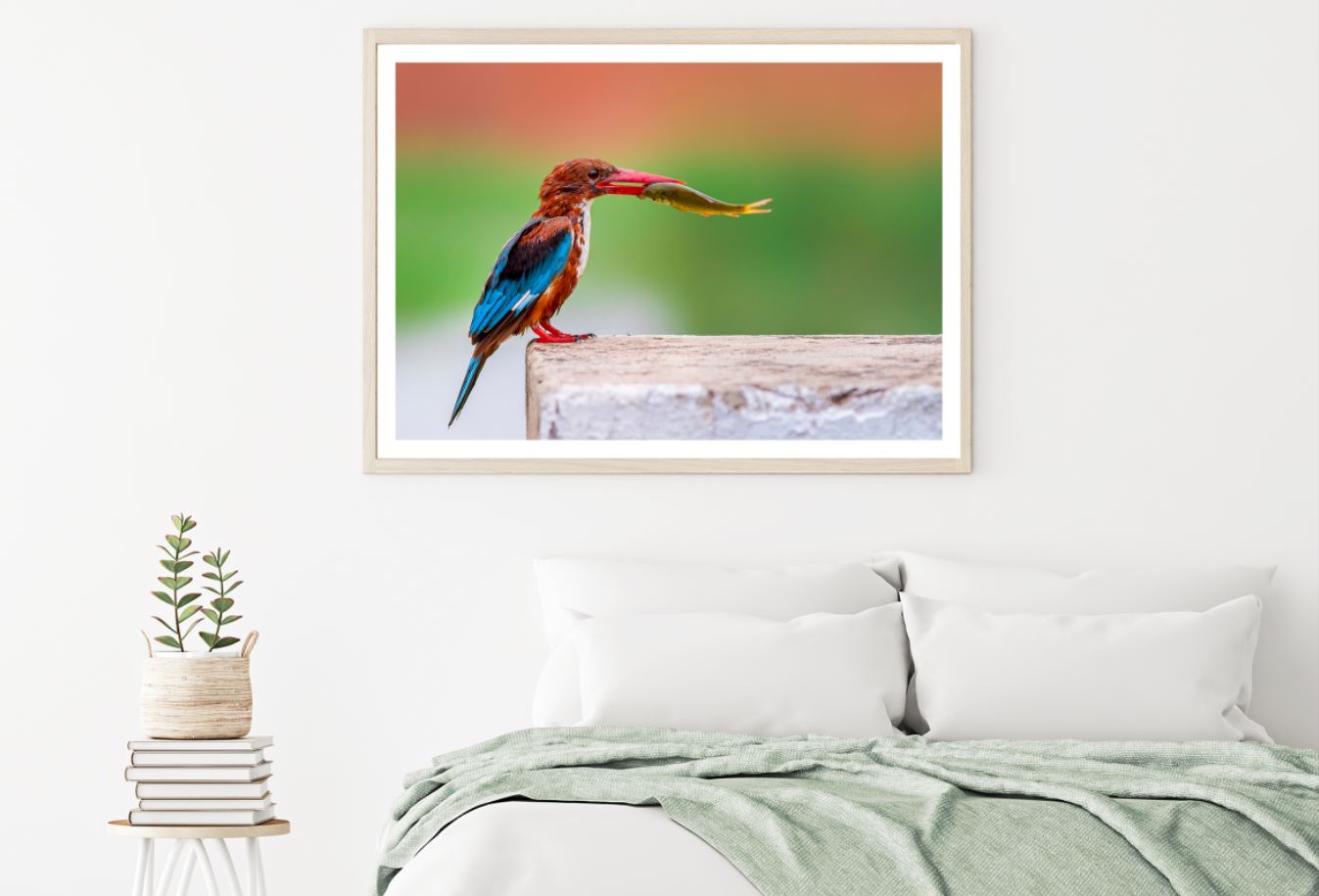 Kingfisher Bird with a Fish Home Decor Premium Quality Poster Print Choose Your Sizes