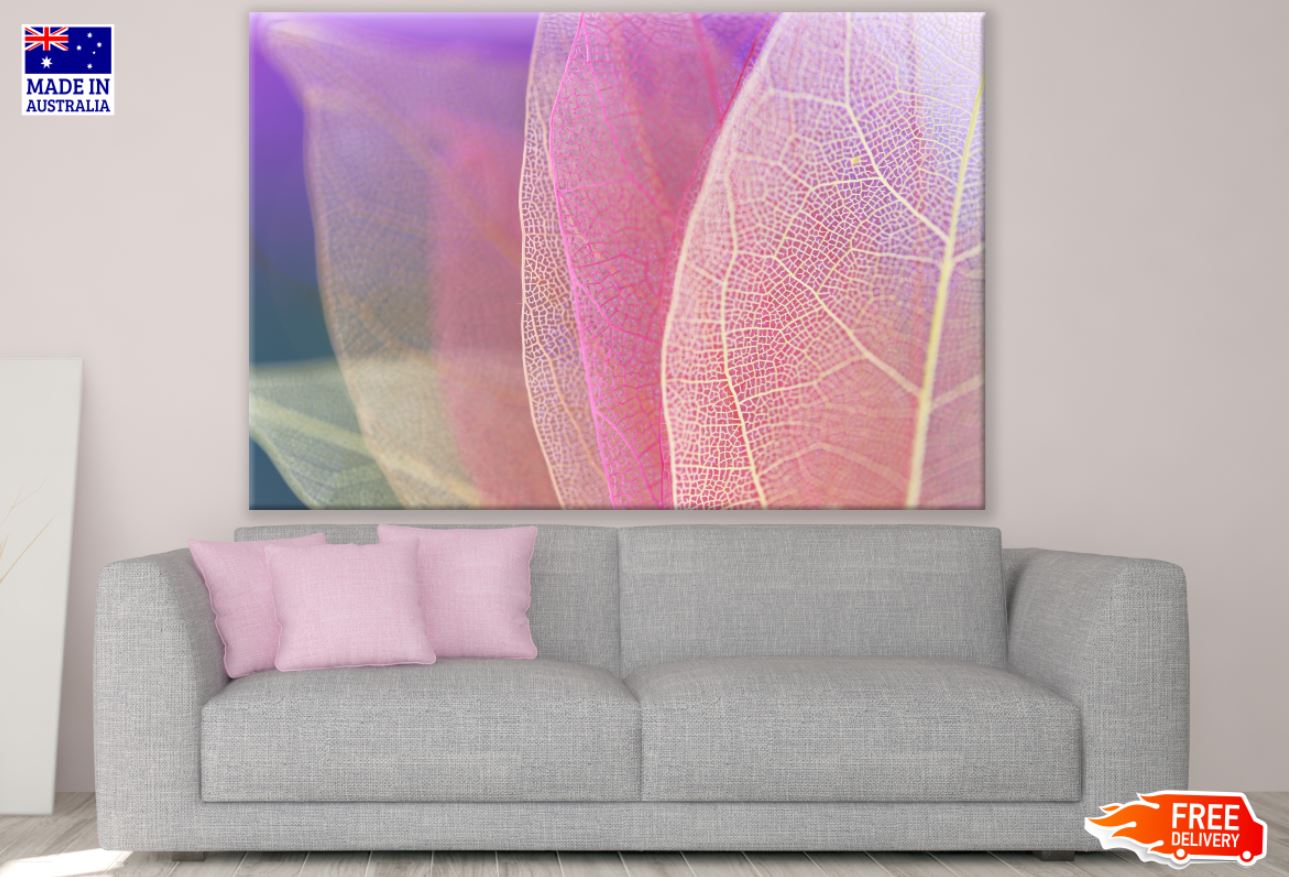 Colorful Leaf Macro Photograph Print 100% Australian Made