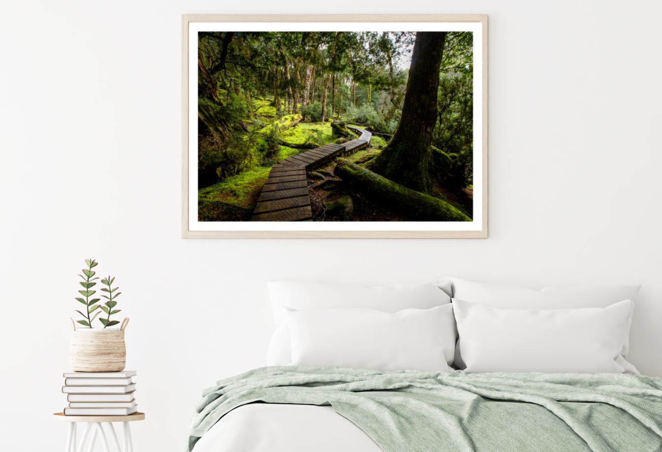 Wooden Pier in Forest Photograph Home Decor Premium Quality Poster Print Choose Your Sizes