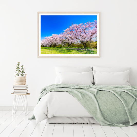 Blossom Trees in Meadow Scenery Home Decor Premium Quality Poster Print Choose Your Sizes