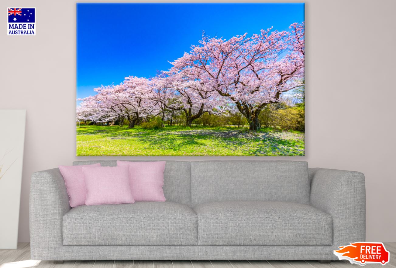 Blossom Trees in Meadow Scenery Print 100% Australian Made