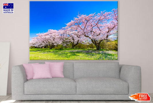 Blossom Trees in Meadow Scenery Print 100% Australian Made