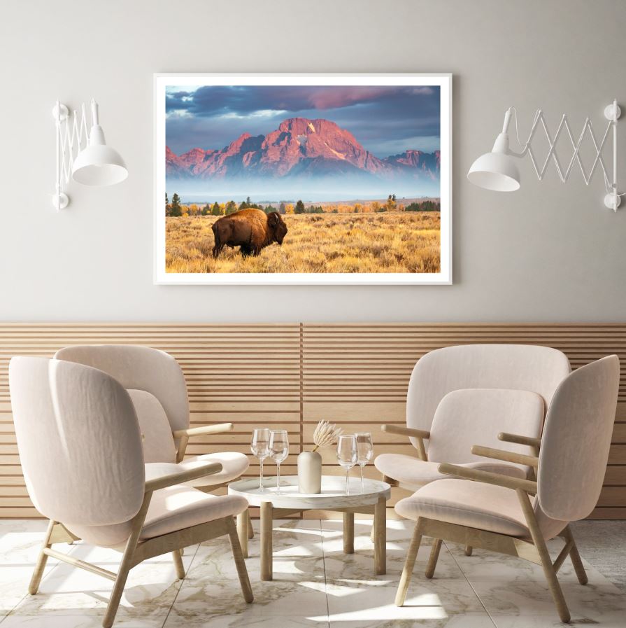 Bison on Field Near Mountain Home Decor Premium Quality Poster Print Choose Your Sizes