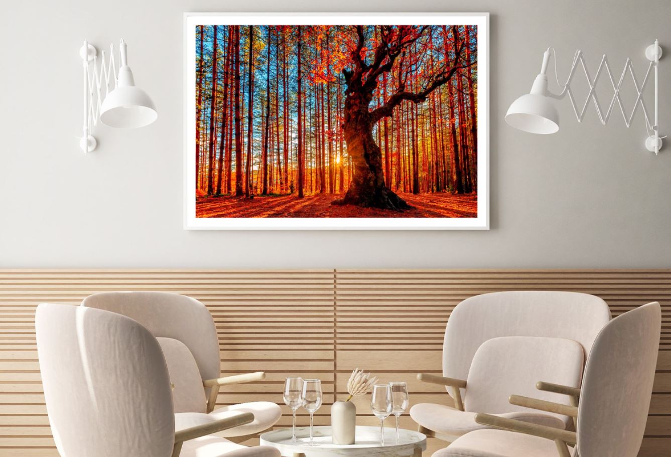 Sunset View in Forest Photograph Home Decor Premium Quality Poster Print Choose Your Sizes