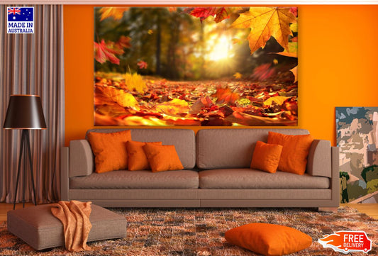 Autumn Leaves Falling Photograph Print 100% Australian Made
