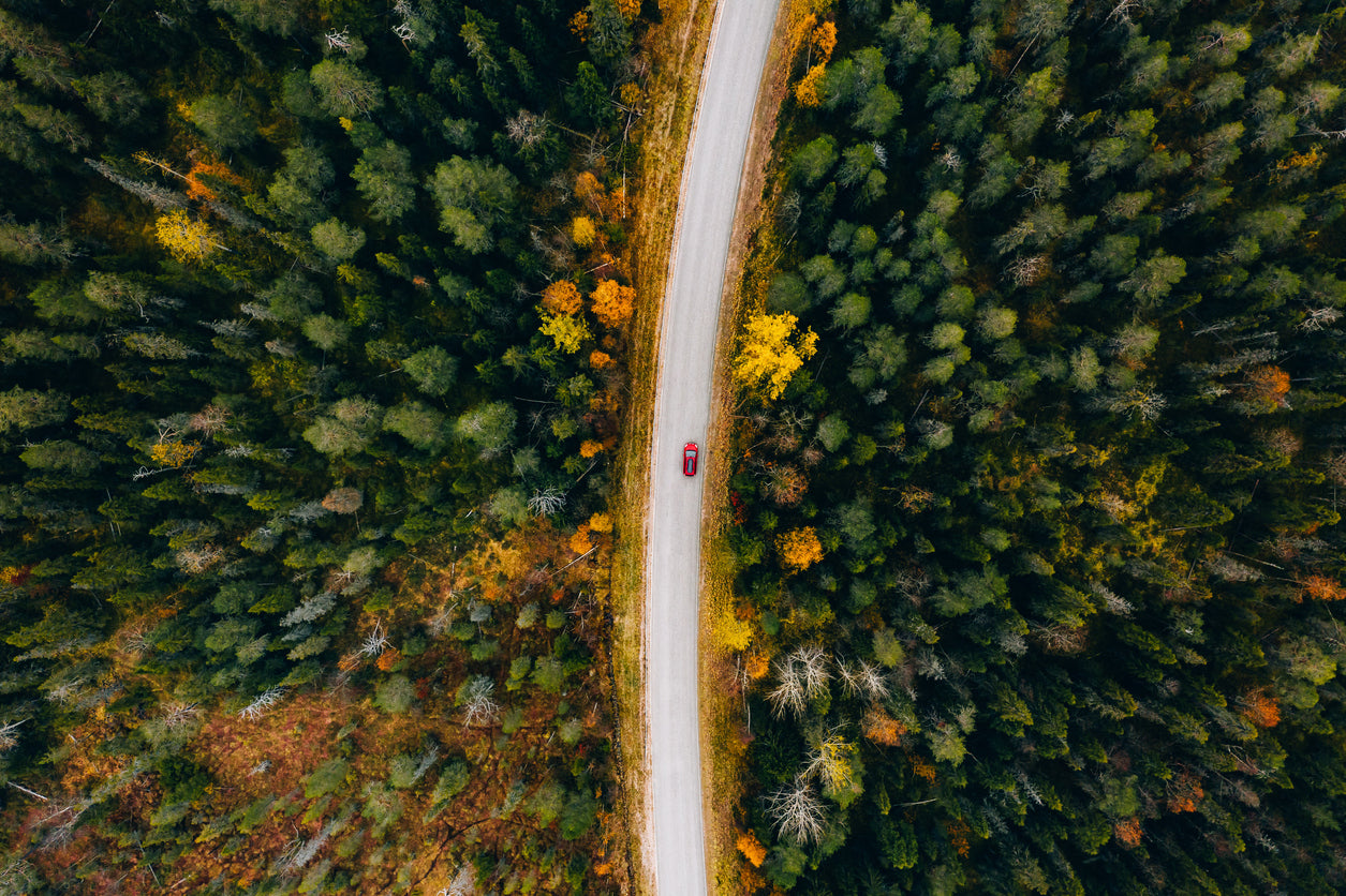 Road in Forest Aerial View Home Decor Premium Quality Poster Print Choose Your Sizes