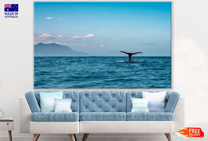 Whale in Sea Photograph Print 100% Australian Made