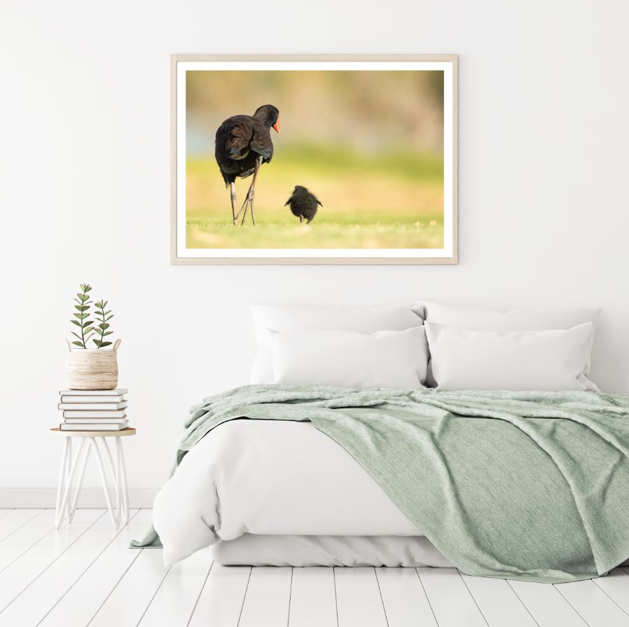 Bird & Baby Walking Home Decor Premium Quality Poster Print Choose Your Sizes