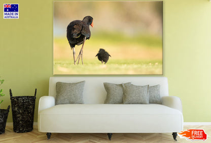 Bird & Baby Walking Print 100% Australian Made