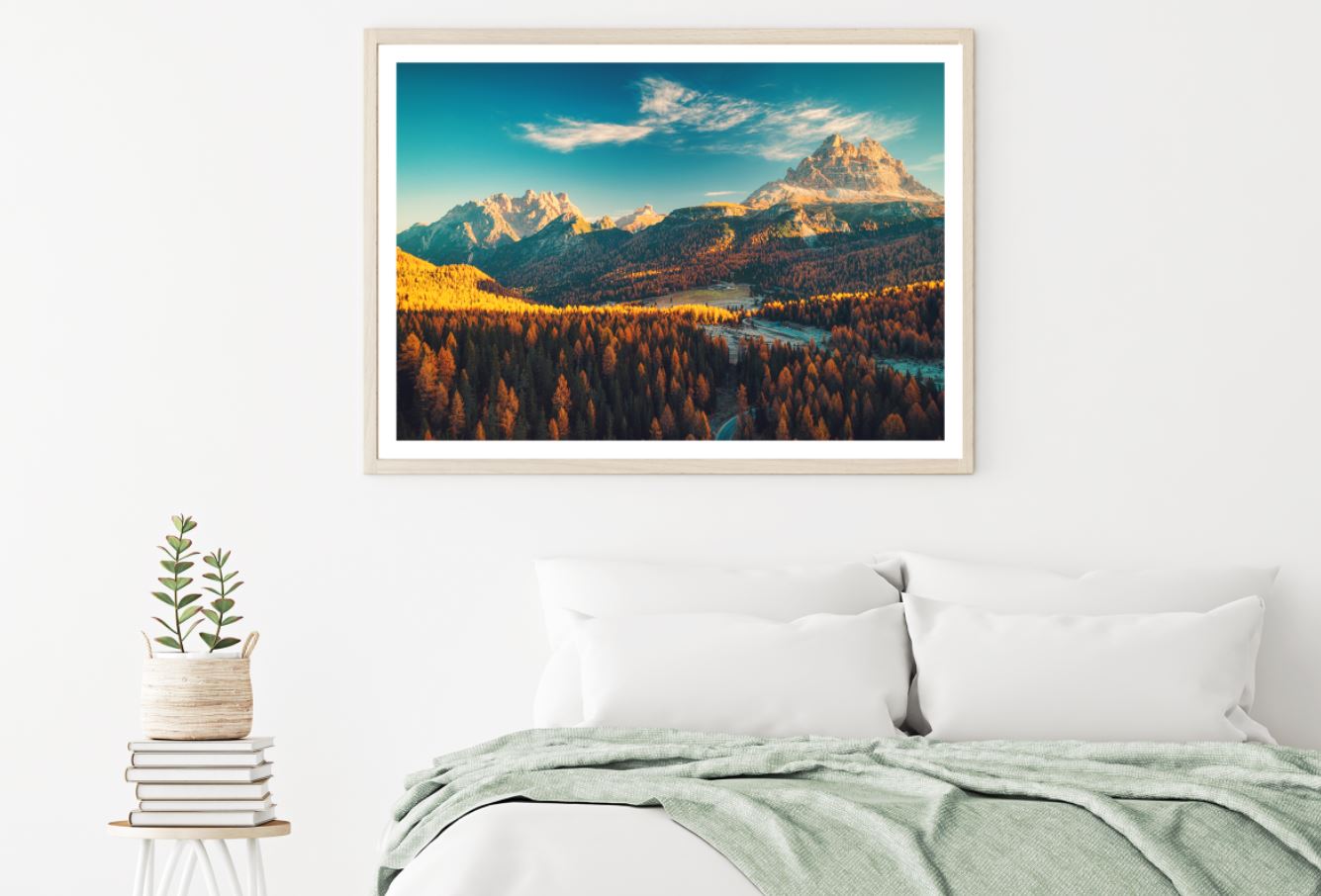 Pine Forest & Mountain Scenery Home Decor Premium Quality Poster Print Choose Your Sizes