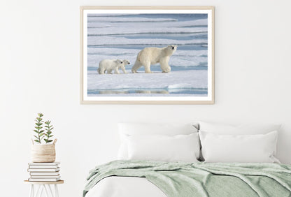 Polar Bears Cubs On Forzen Water Home Decor Premium Quality Poster Print Choose Your Sizes