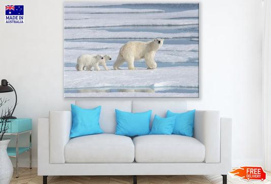 Polar Bears Cubs On Forzen Water Print 100% Australian Made