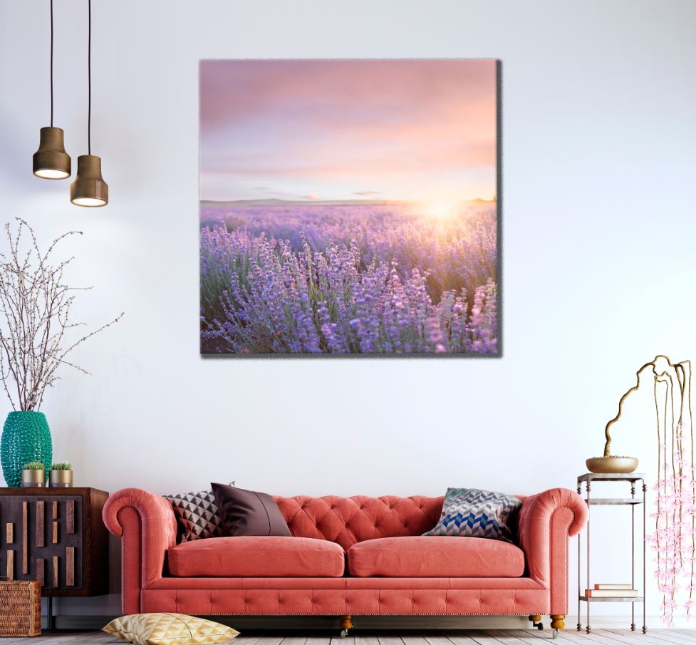 Square Canvas Purple Flower Field Scenery High Quality Print 100% Australian Made