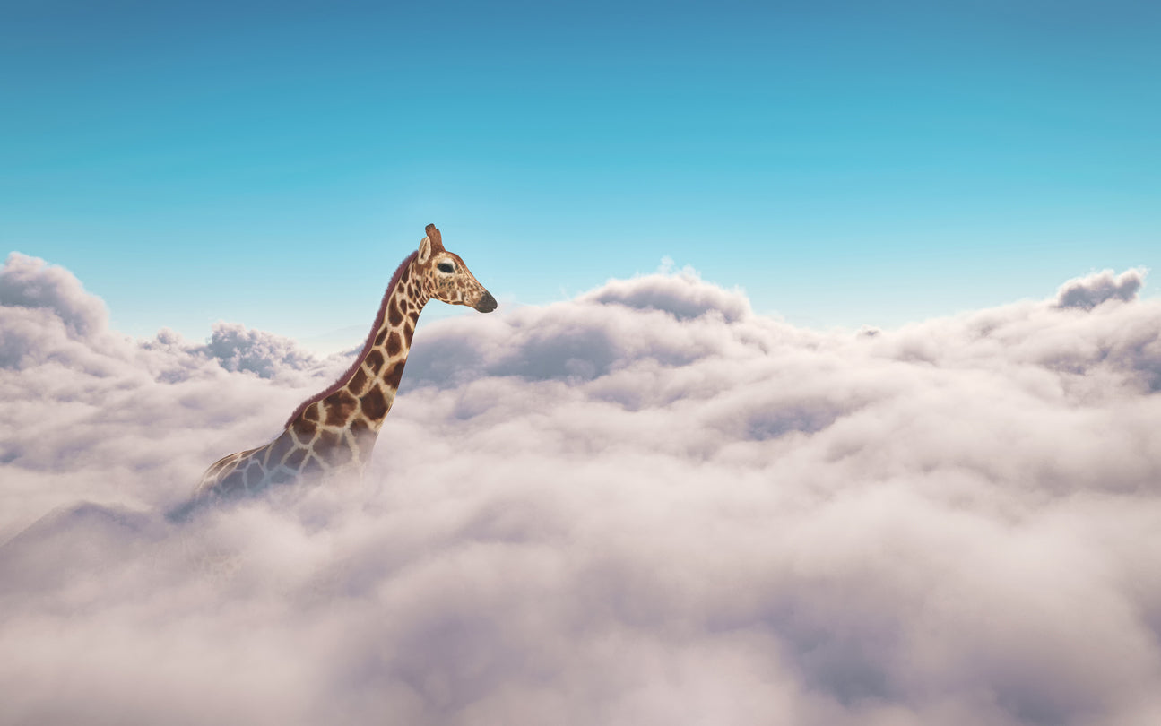 Giraffe & Cloudy Sky Photograph Home Decor Premium Quality Poster Print Choose Your Sizes