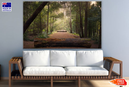 Forest Road Photograph Print 100% Australian Made