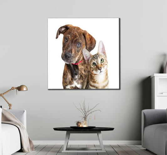 Square Canvas Dog & Cat Portrait Photograph High Quality Print 100% Australian Made