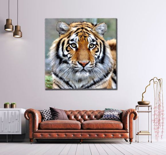 Square Canvas Beautiful Tiger Portrait High Quality Print 100% Australian Made