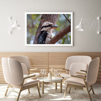 Kookaburra Bird on a Tree View Home Decor Premium Quality Poster Print Choose Your Sizes