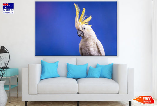 Cockatoo Bird Closeup Photograph Print 100% Australian Made