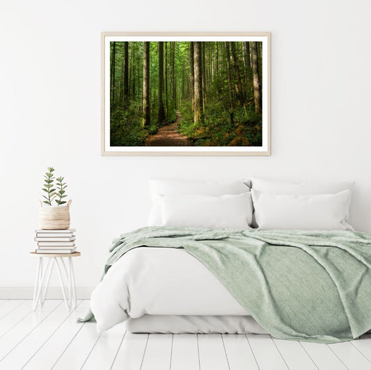 Forest Scenery Photograph Home Decor Premium Quality Poster Print Choose Your Sizes