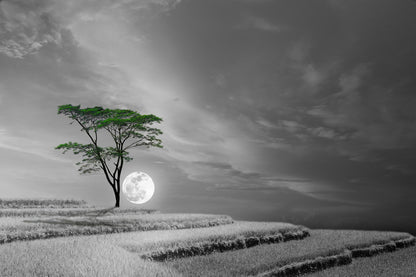 Tree on Hill B&W Moon Photograph Home Decor Premium Quality Poster Print Choose Your Sizes