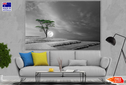 Tree on Hill B&W Moon Photograph Print 100% Australian Made