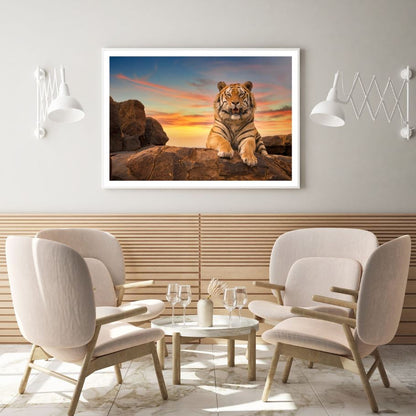 Tiger on a Rock Sunset Photograph Home Decor Premium Quality Poster Print Choose Your Sizes