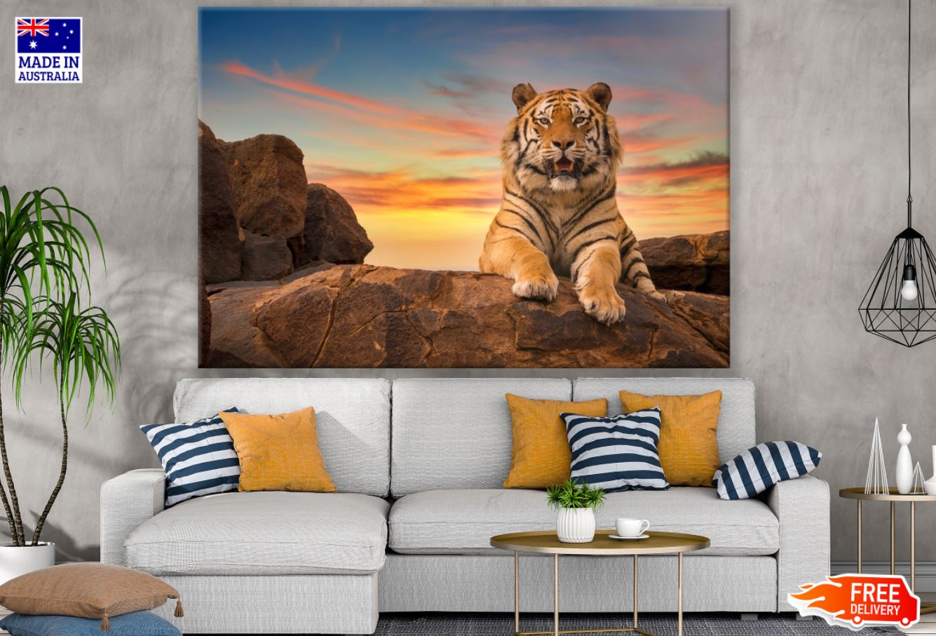 Tiger on a Rock Sunset Photograph Print 100% Australian Made