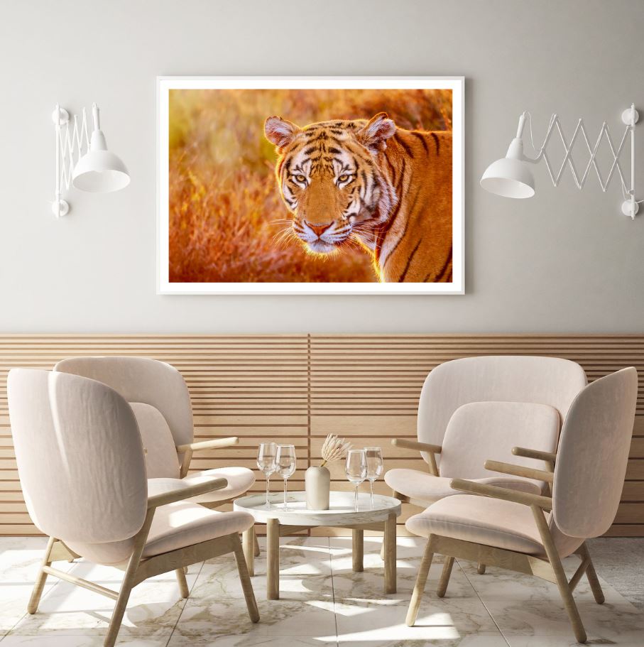 Tiger Portrait Photograph Home Decor Premium Quality Poster Print Choose Your Sizes