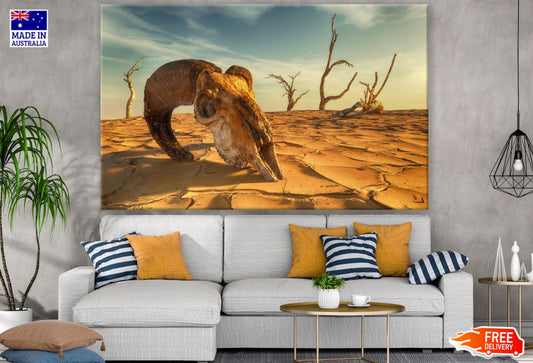 Animal Skull in Desert Photograph Print 100% Australian Made