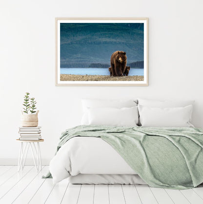 Bear & Cubs Near River Photograph Home Decor Premium Quality Poster Print Choose Your Sizes