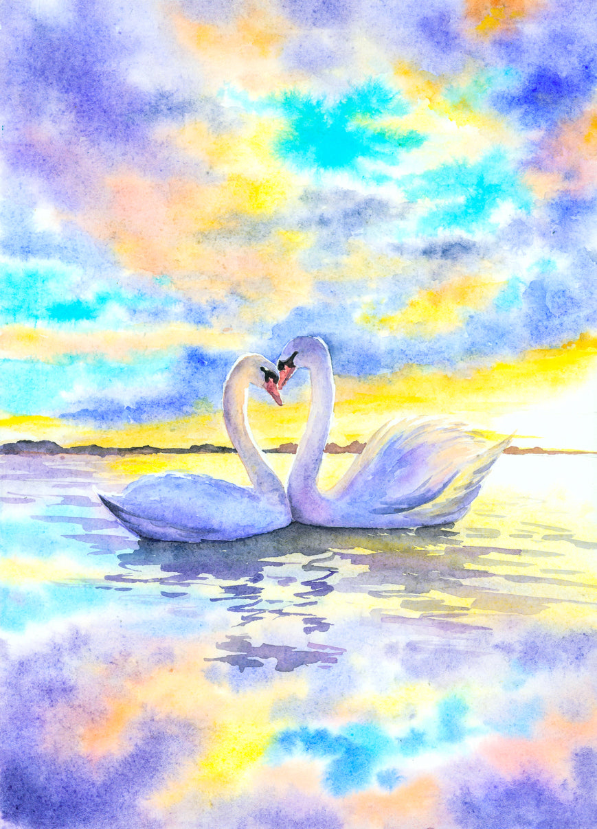 Swans Pair Watercolor Painting Print 100% Australian Made