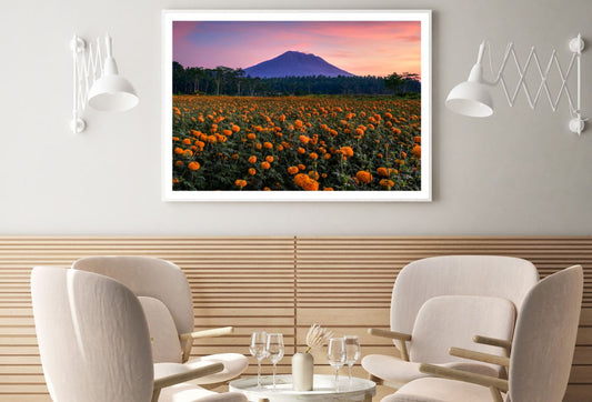 Orange Flower Field Photograph Home Decor Premium Quality Poster Print Choose Your Sizes