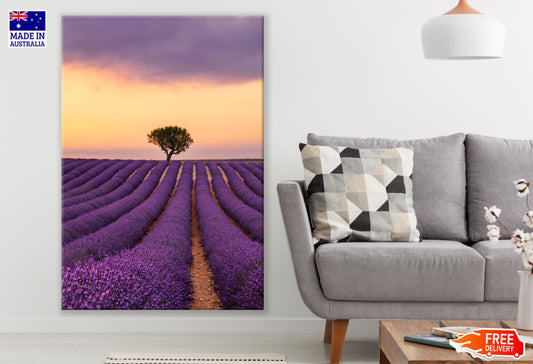 Lavender Field Scenery Photograph Print 100% Australian Made