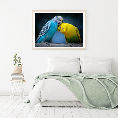 Love Birds Closeup Photograph Home Decor Premium Quality Poster Print Choose Your Sizes