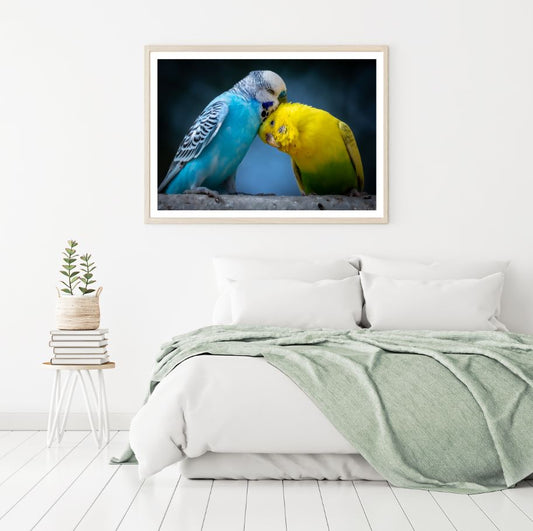 Love Birds Closeup Photograph Home Decor Premium Quality Poster Print Choose Your Sizes