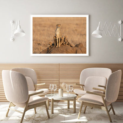 Cheetah & Cubs on a Rock View Home Decor Premium Quality Poster Print Choose Your Sizes