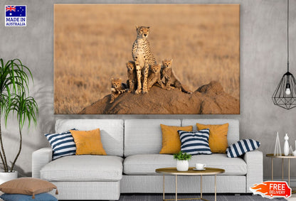 Cheetah & Cubs on a Rock View Print 100% Australian Made