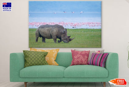 Rhino on A Ground Near River Print 100% Australian Made