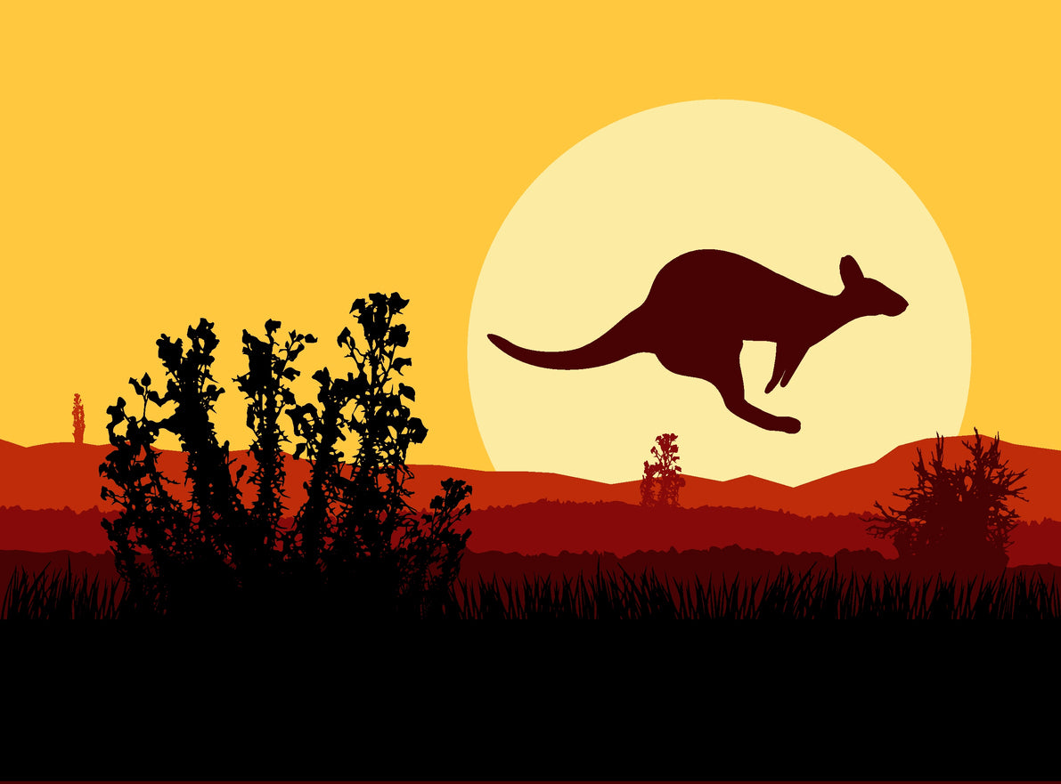 Kangaroo at Sunset Vector Art Print 100% Australian Made