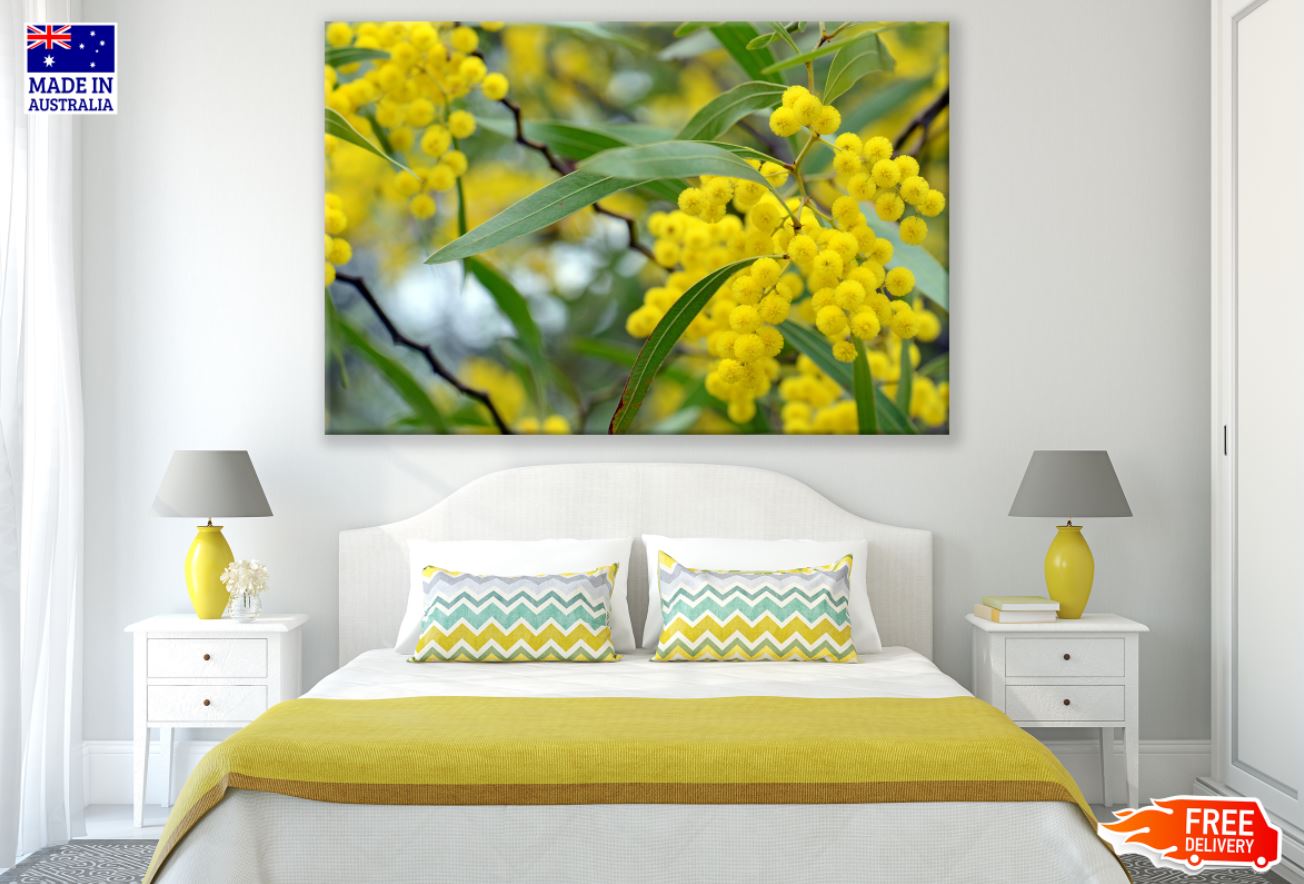 Yellow Flower Tree Closeup View Print 100% Australian Made